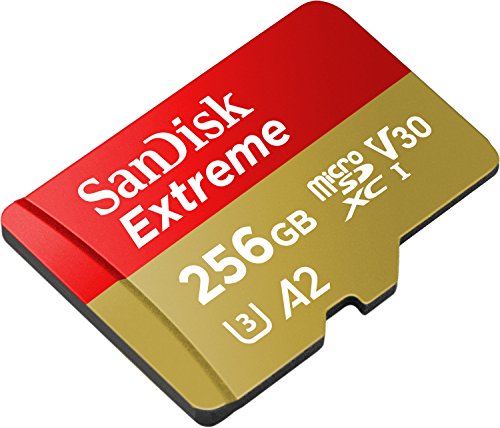Welche microSD-Karte für GoPro HERO13 Black - SanDisk Extreme 256 GB